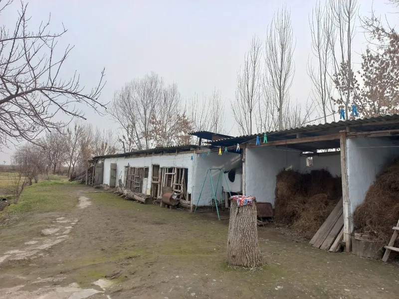 Guliston tumani Mustaqillik MFY da Uy Sotiladi — фото 4