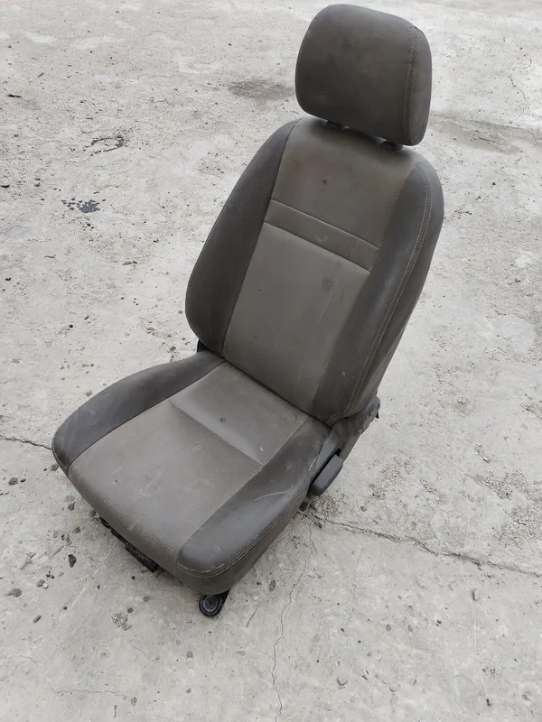Sideniya sideni porter