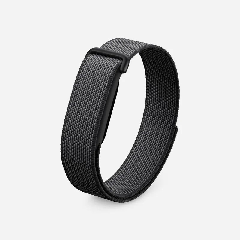 Google fitbit air