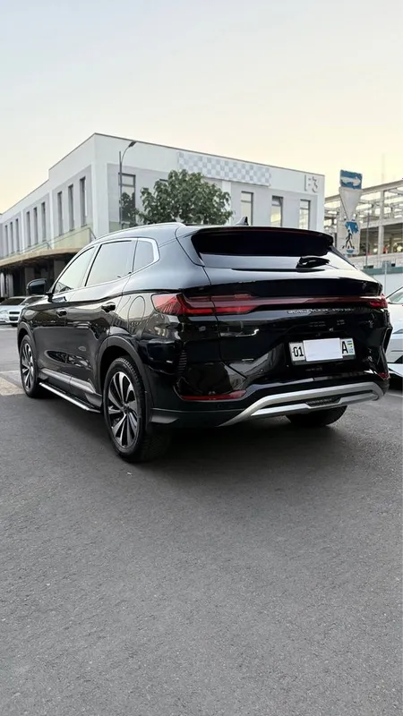 BYD Song Champion 605 kn 2