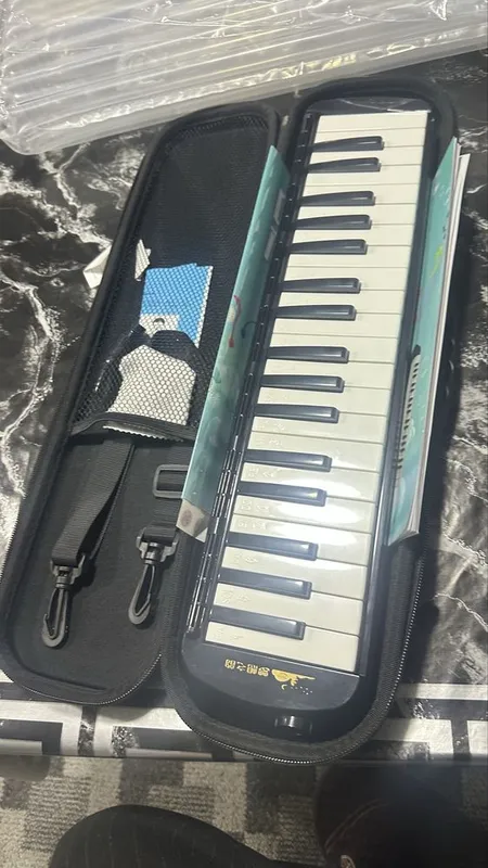 Melodika Duxavoy istrument