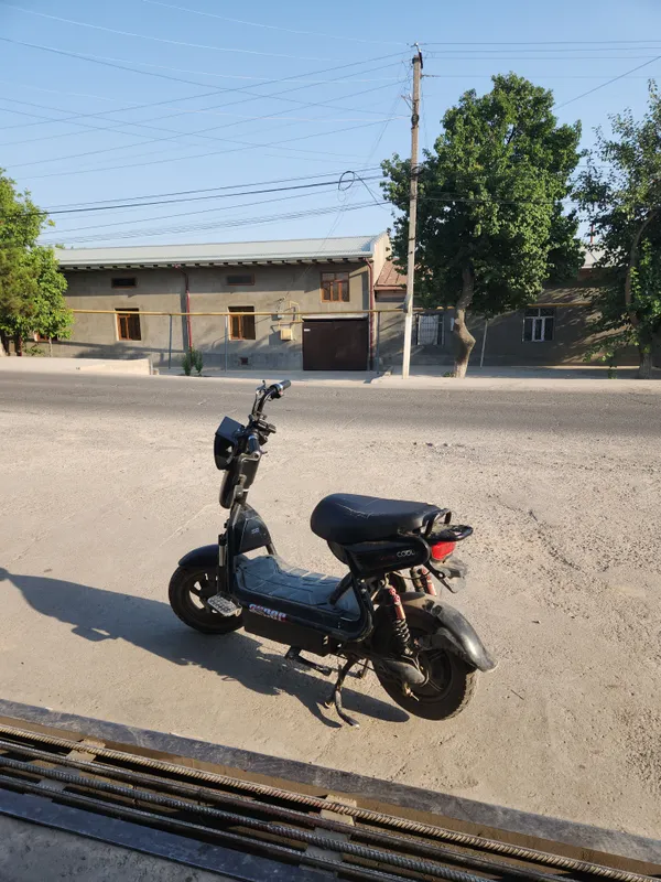 Sukuutr gold hamm joyi zor olasz haydisz — фото 3