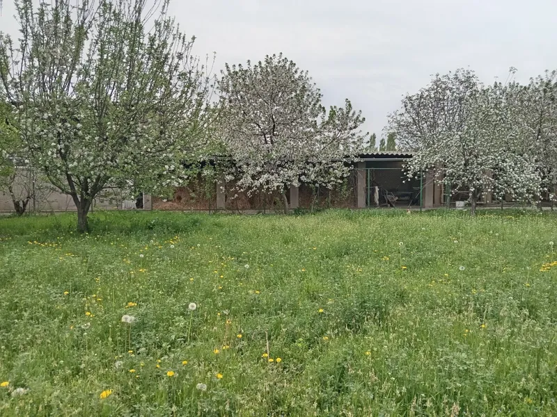 Uchastka sotiladi (srochno)