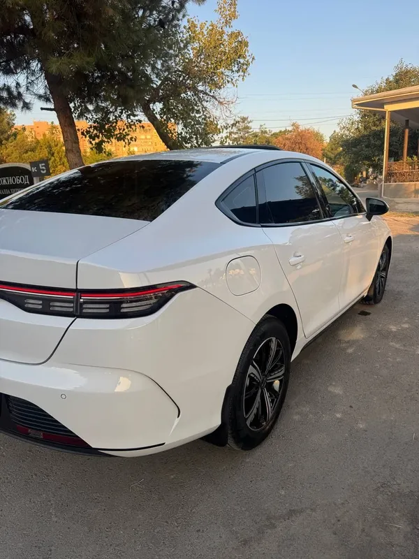 Byd Chazor 2023/24 6 Byd Chazor 2023/24 6