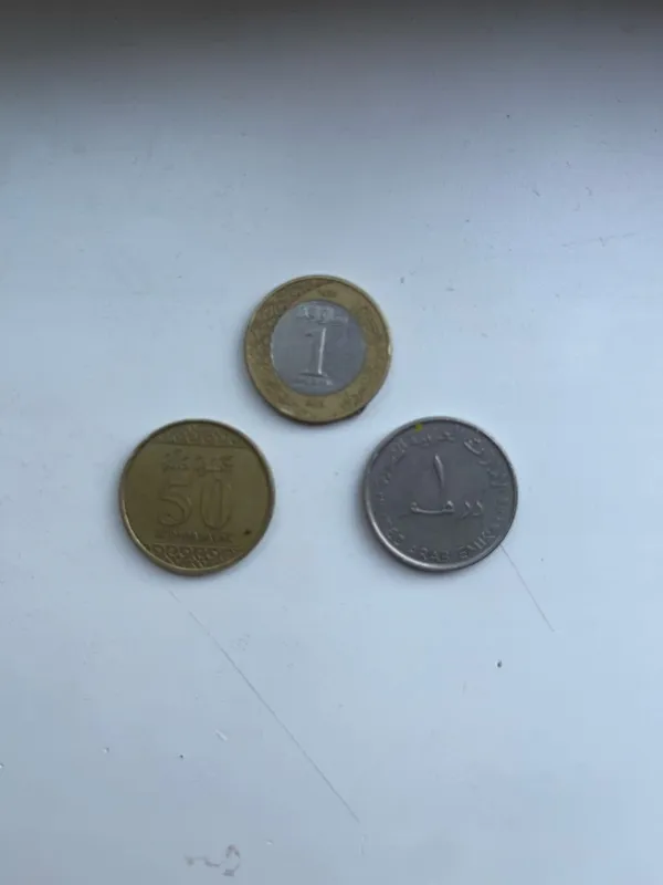 Arablarni tangalari noyob