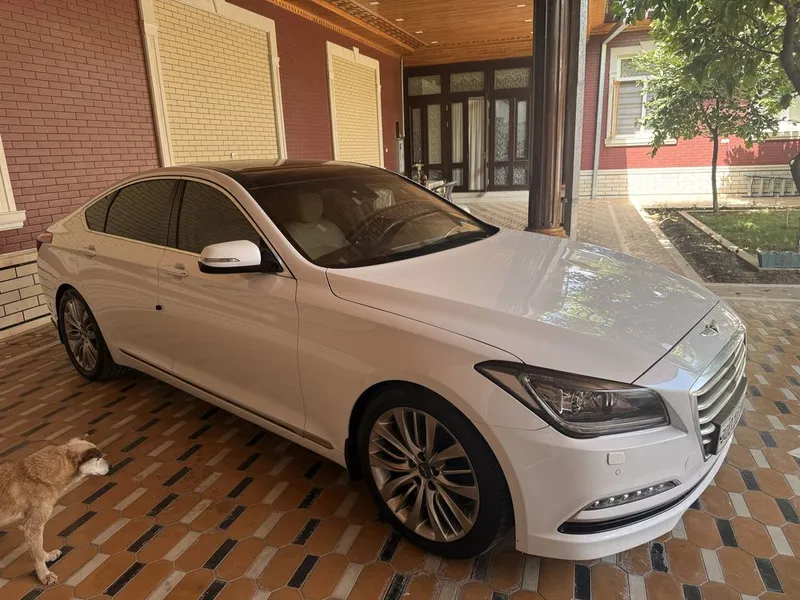 Genesis G80 2014 yil 3 Genesis G80 2014 yil 3