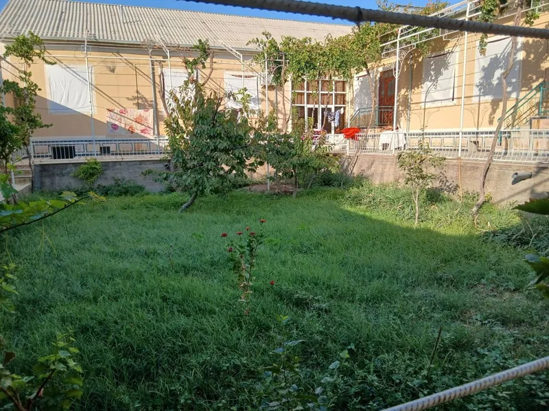 Шейхондан 6 сотихли участка — фото 1