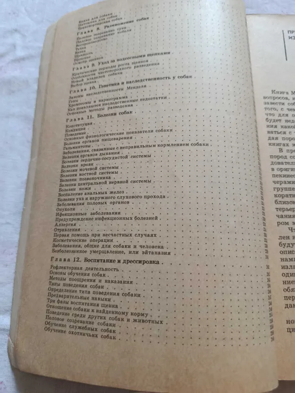 Продам книгу о собаках ВСЕГДА РЯДОМ. — фото 3 Продам книгу о собаках ВСЕГДА РЯДОМ. — фото 3