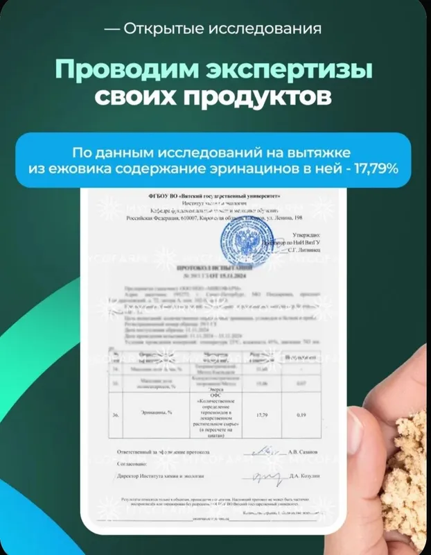 Ежовик гребенчатый мицелий / Lions mane 100гр - 100 порций от MYCOFARM — фото 3