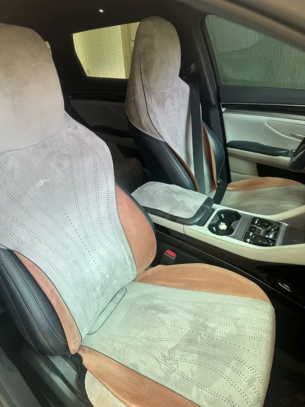 BYD Chehol Sideniya
