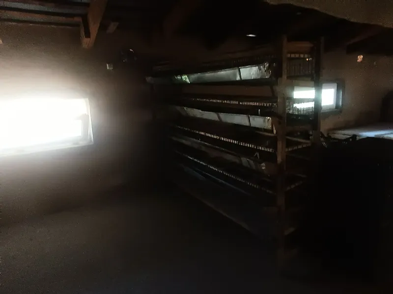 Bedana qafas 2,20metr uzumligi 3,40