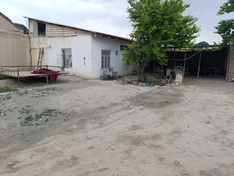 Gulistonni povorotidan kirgandan hovli