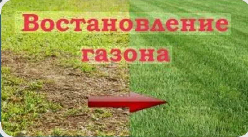 Professionalni sadovnik 6