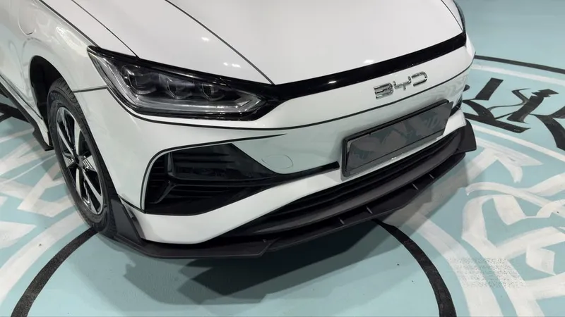 Stealthside - BYD e2 tuning obves spoiler splitter — фото 4