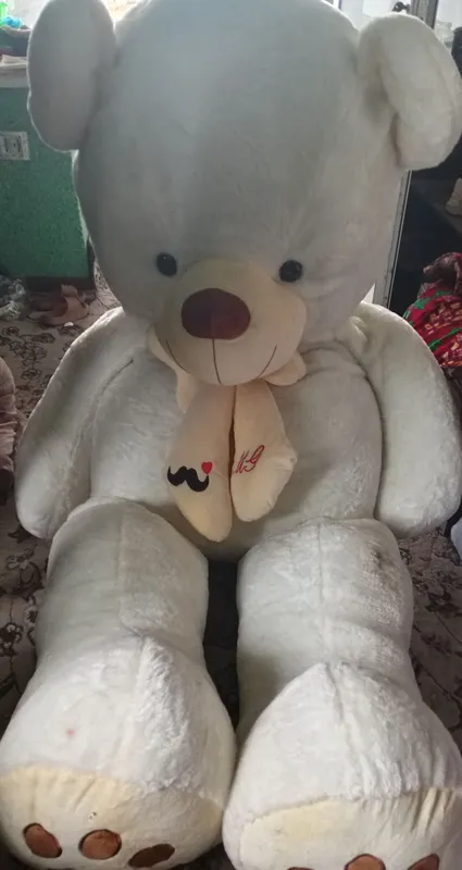 Teddiy kotta ayiq sotiladi Teddiy kotta ayiq sotiladi