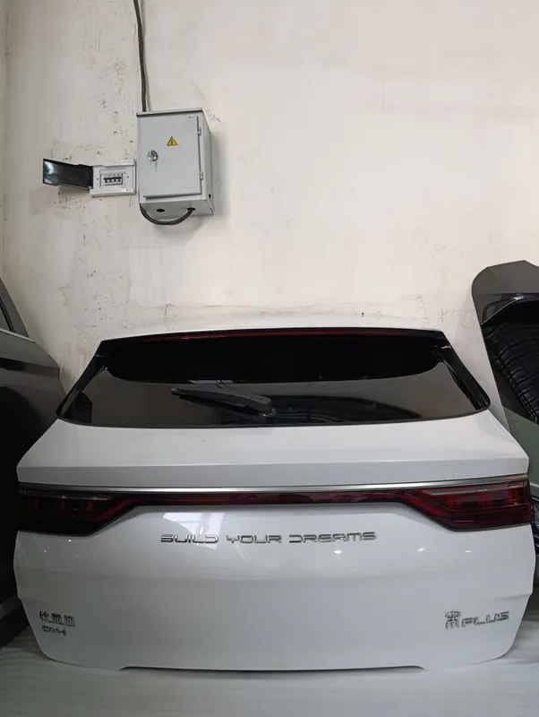BYD Radnoy detallar eshik kapot bagaj BYD родной детал двер капот бага — фото 2