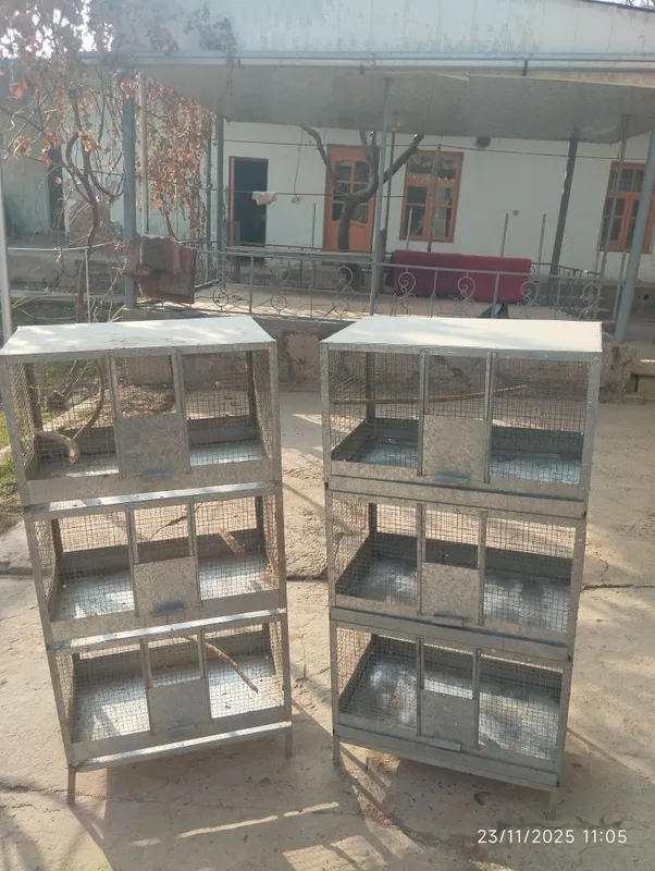 Xolati yaxshi bu Xolati yaxshi bu