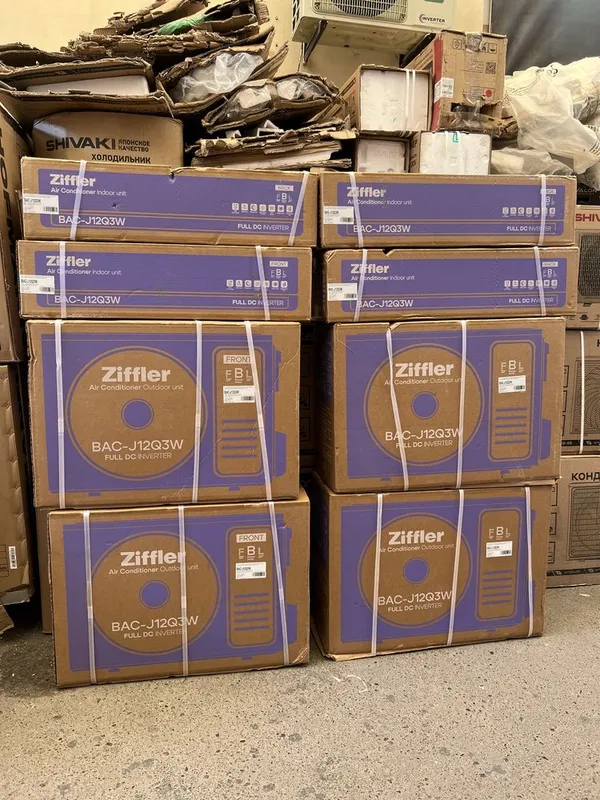 ZIFFLER 12 BAC model — фото 3