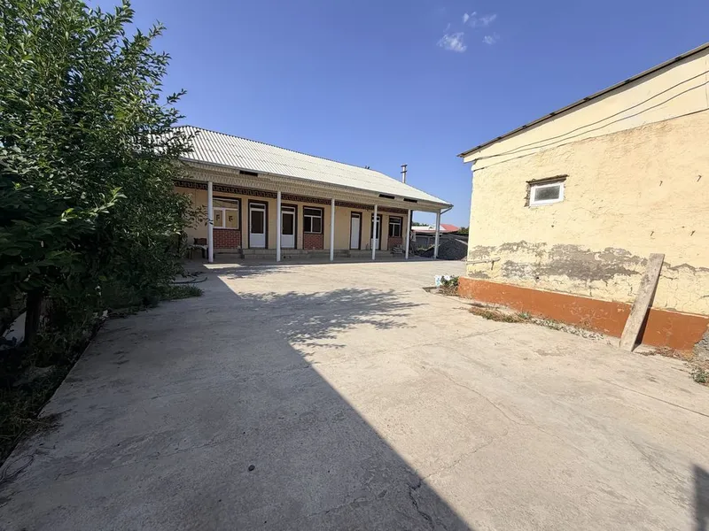 Sirdaryo shahar Sindirobotda 24 sotxli xovli