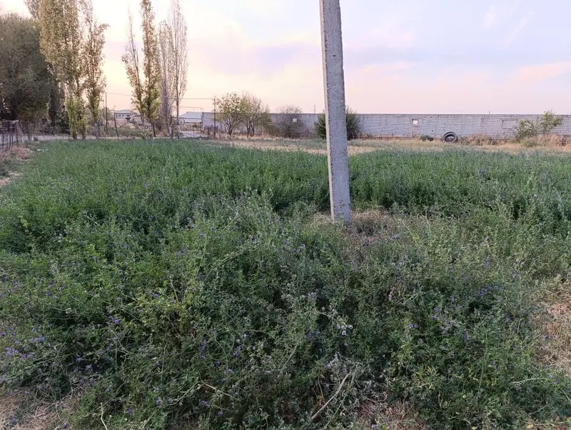 Uy qurishga yer sotiladi urtasaroy navruzdan 4km — фото 2
