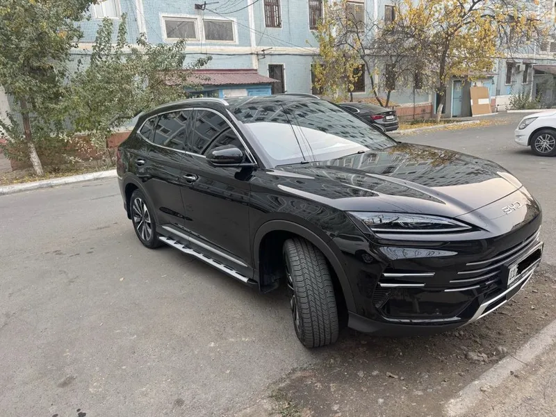 BYD Champion Gibrid 150 km (Full) — фото 1