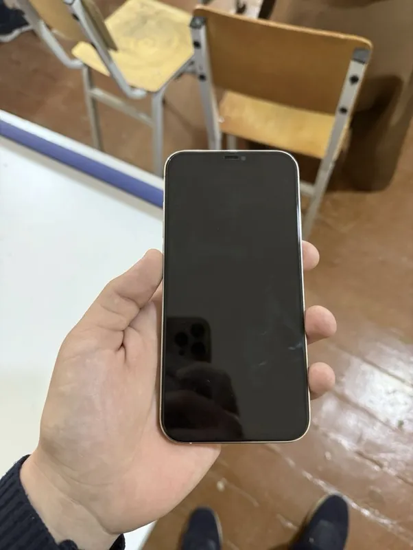 Iphone 12 pro max ideal 2