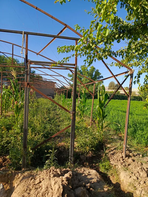 Теплица 2 сотки, 11 арок, 25x8 м, с железным каркасом 2