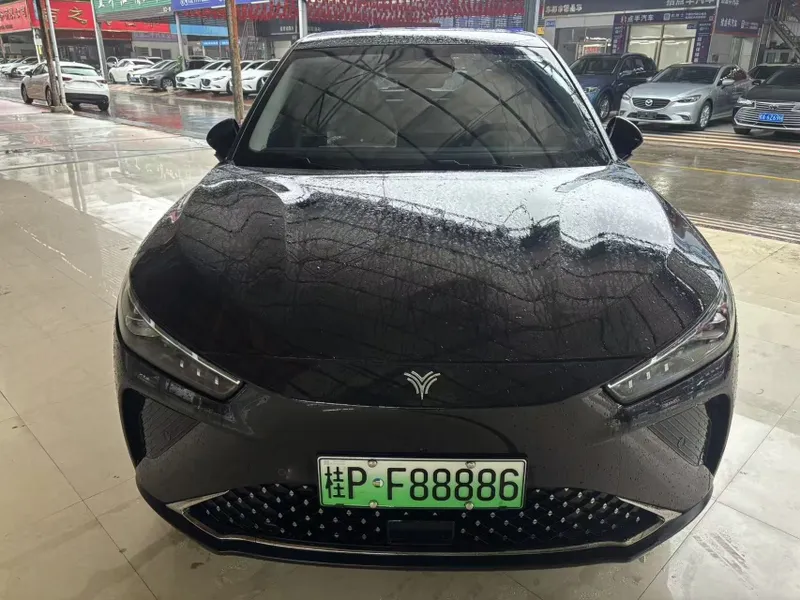 Neta L 2024 base paint