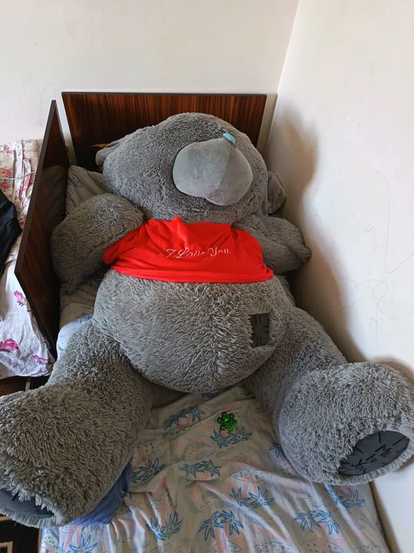 Yumshoq O'yinchoq katta Teddy ayiq — фото 1