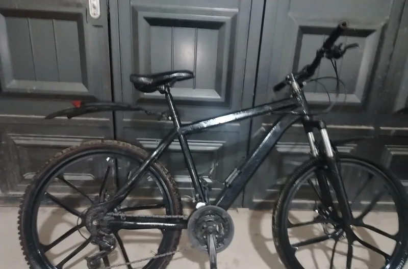 Qora pantera Velosiped 3 Qora pantera Velosiped 3