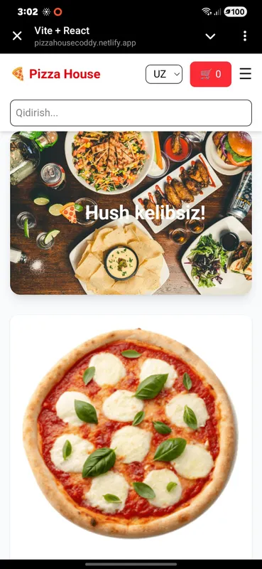 pizza sayt front end