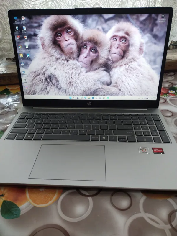 Ноутбук hp новый — фото 1