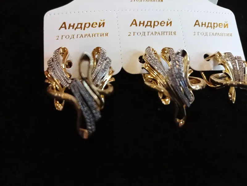 Мукаддам бужитериялари 6