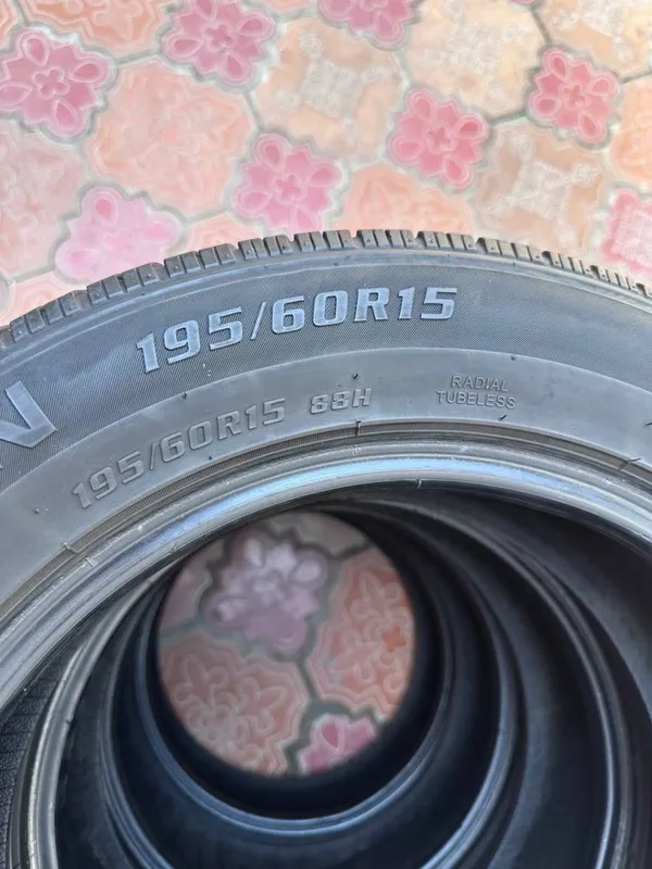 Falkon germanskiy sifatli arginal 15 2 Falkon germanskiy sifatli arginal 15 2