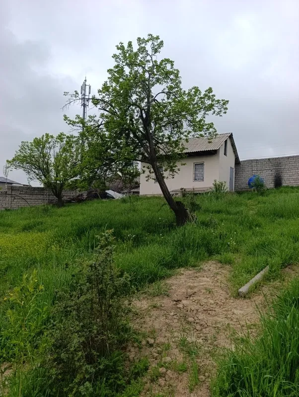 Арзон жой паркент новбохорда