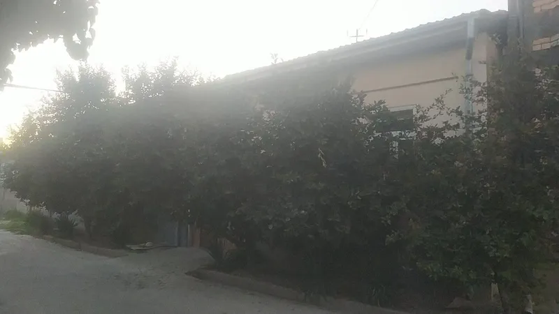 Hovli sotiladi 8 sotix 3 Hovli sotiladi 8 sotix 3