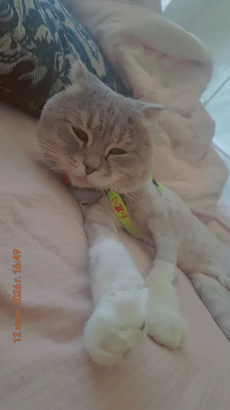 вязка вязка