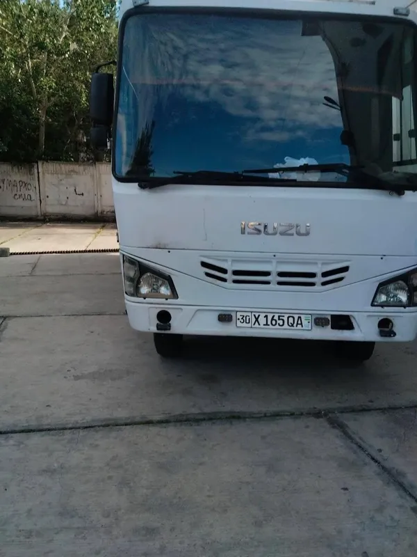 Isuzu sotiladii. 1