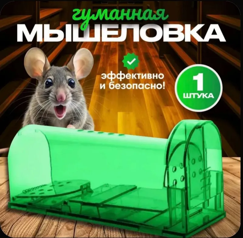 Мышеловка гуманная