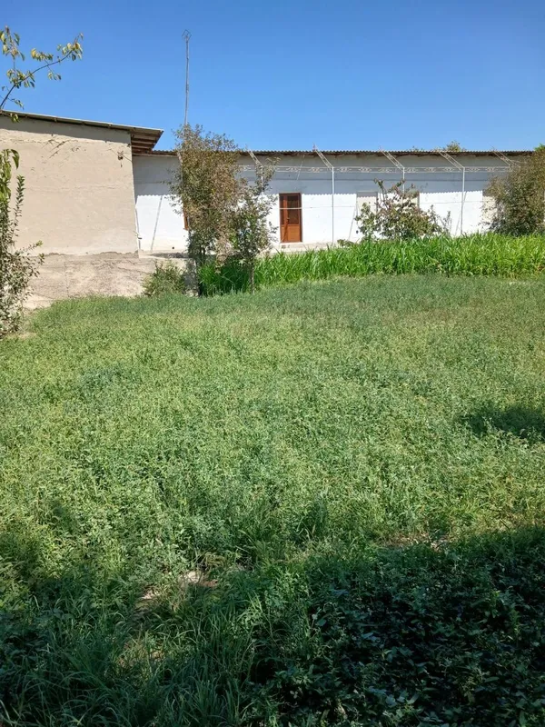 hovli sotiladi 1 hovli sotiladi 1
