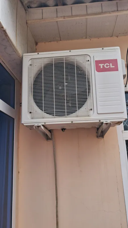 TCL 1