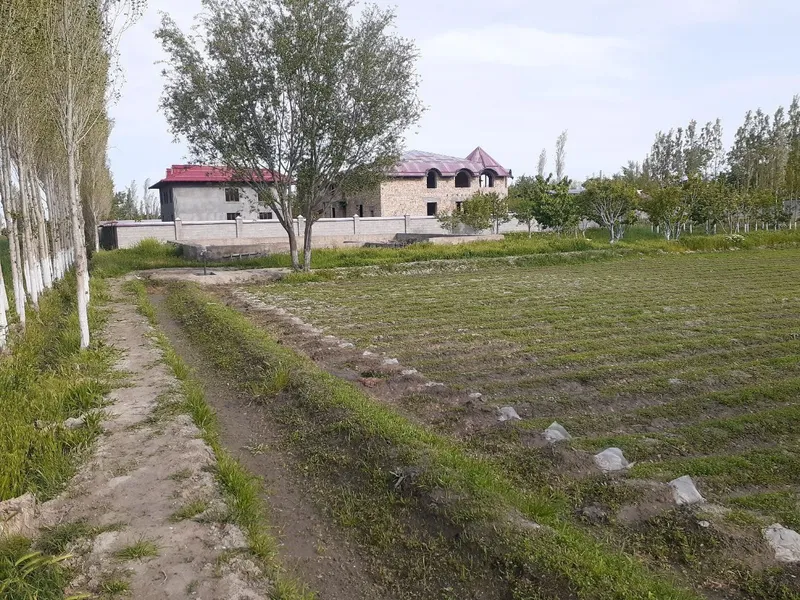10 sotix sotiladi