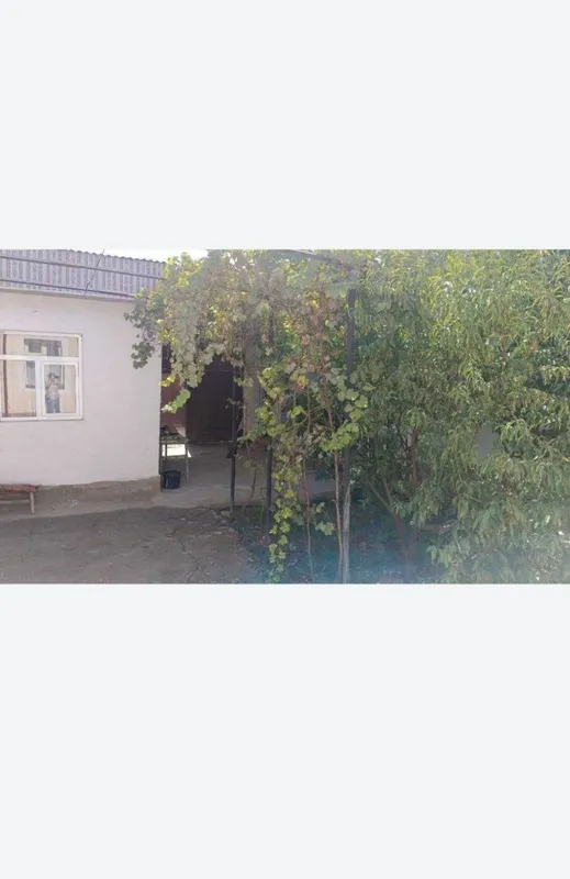 Катеж сотилади богободда 6