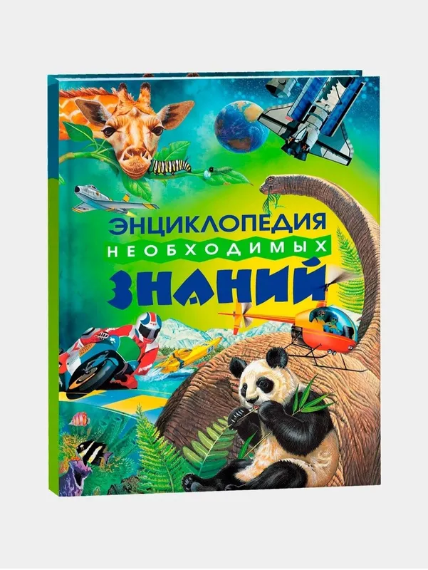 Доставка. Большая книга вопросов и ответов Что? зачем? почему? — фото 5