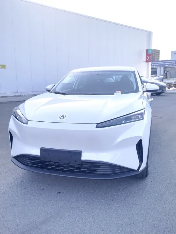 Dongfeng SKY EV 01