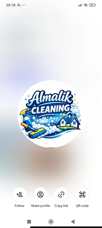 almalik_cleaning