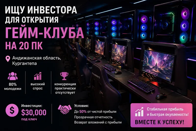 Ищу инвестора в прибыльный гейм-клуб
