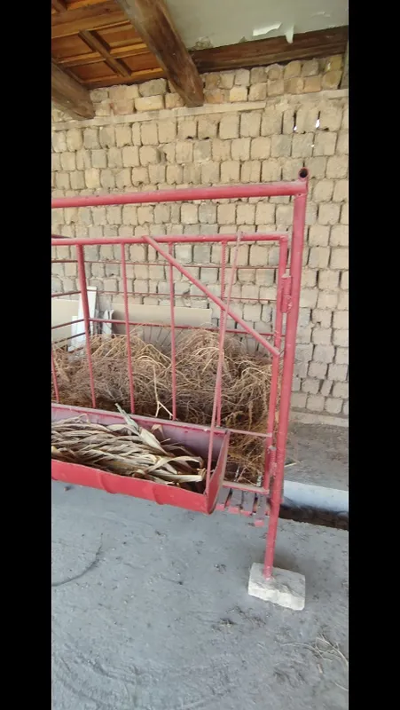 Qo'yxona sotiladi 2 Qo'yxona sotiladi 2