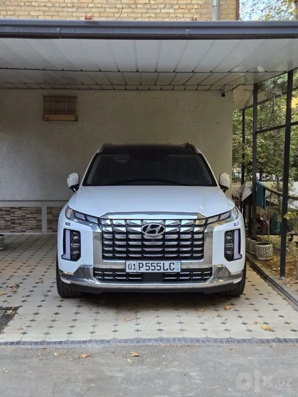 Hyundai Palisade 2024 1 Hyundai Palisade 2024 1