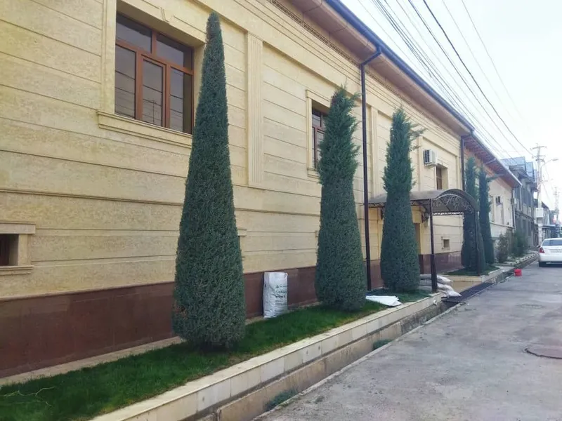 Арча кесиш Archa kesish Dorilash Daraxt ikkish xizmati Bogʻbon — фото 2
